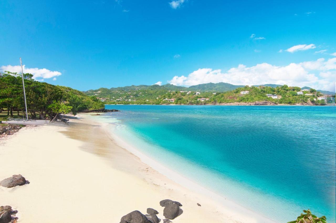 473 Grenada Boutique Resort St. George's Eksteriør bilde