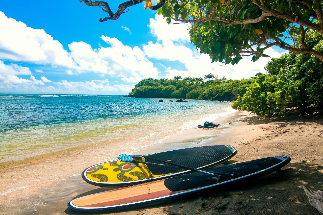 473 Grenada Boutique Resort St. George's Eksteriør bilde