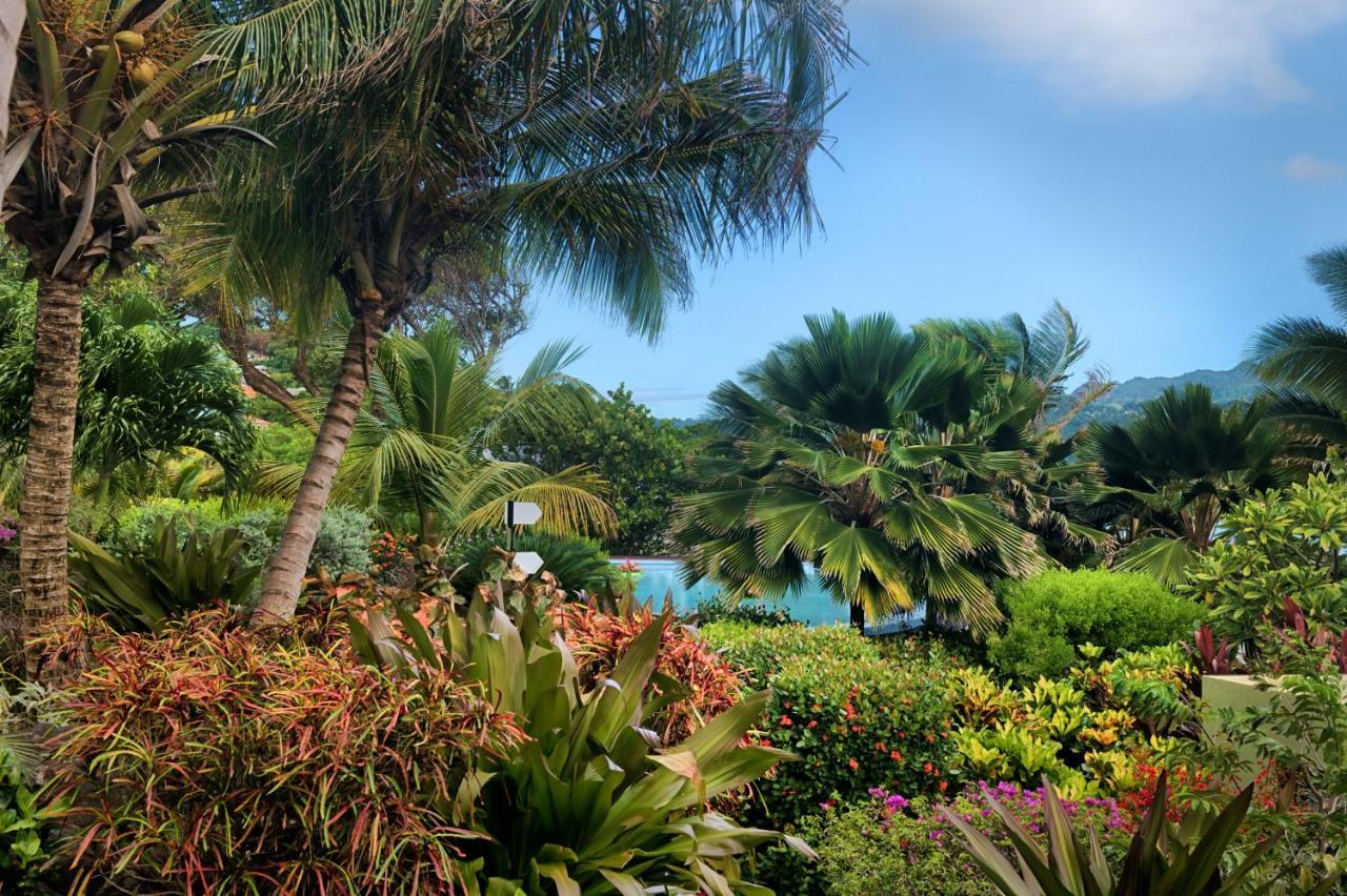 473 Grenada Boutique Resort St. George's Eksteriør bilde
